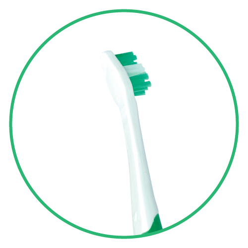 Small Side Pet Toothbrush