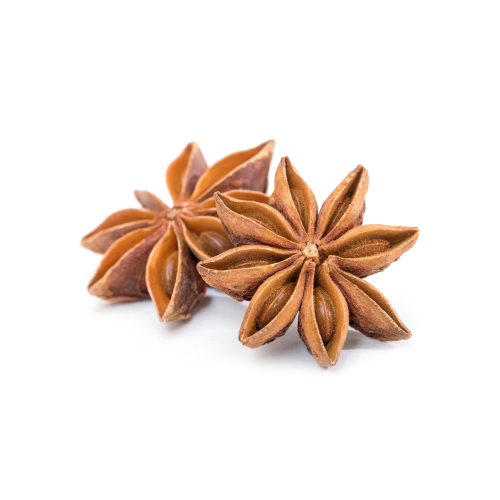 Star anise, spice, fruits & seeds