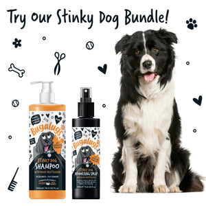 Bugalugs Stinky Dog Shampoo with Odour Neutraliser - Try our stinky dog Bundle