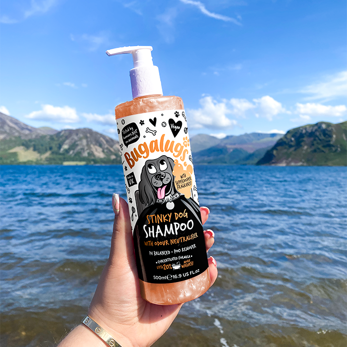 Stinky Dog Shampoo in Lake District