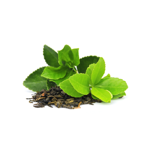 Tea_Leaf_Benefits