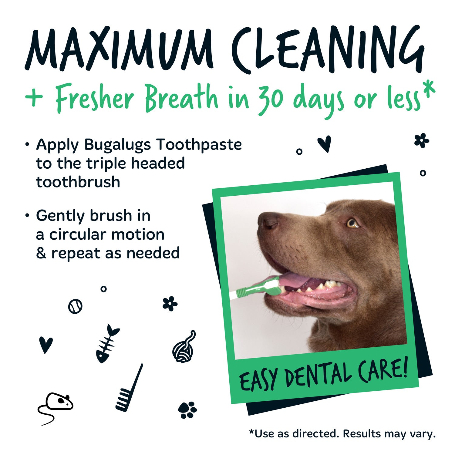 Dental cleanse for dogs best sale