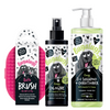 Zingy & Bath Brush Bundle
