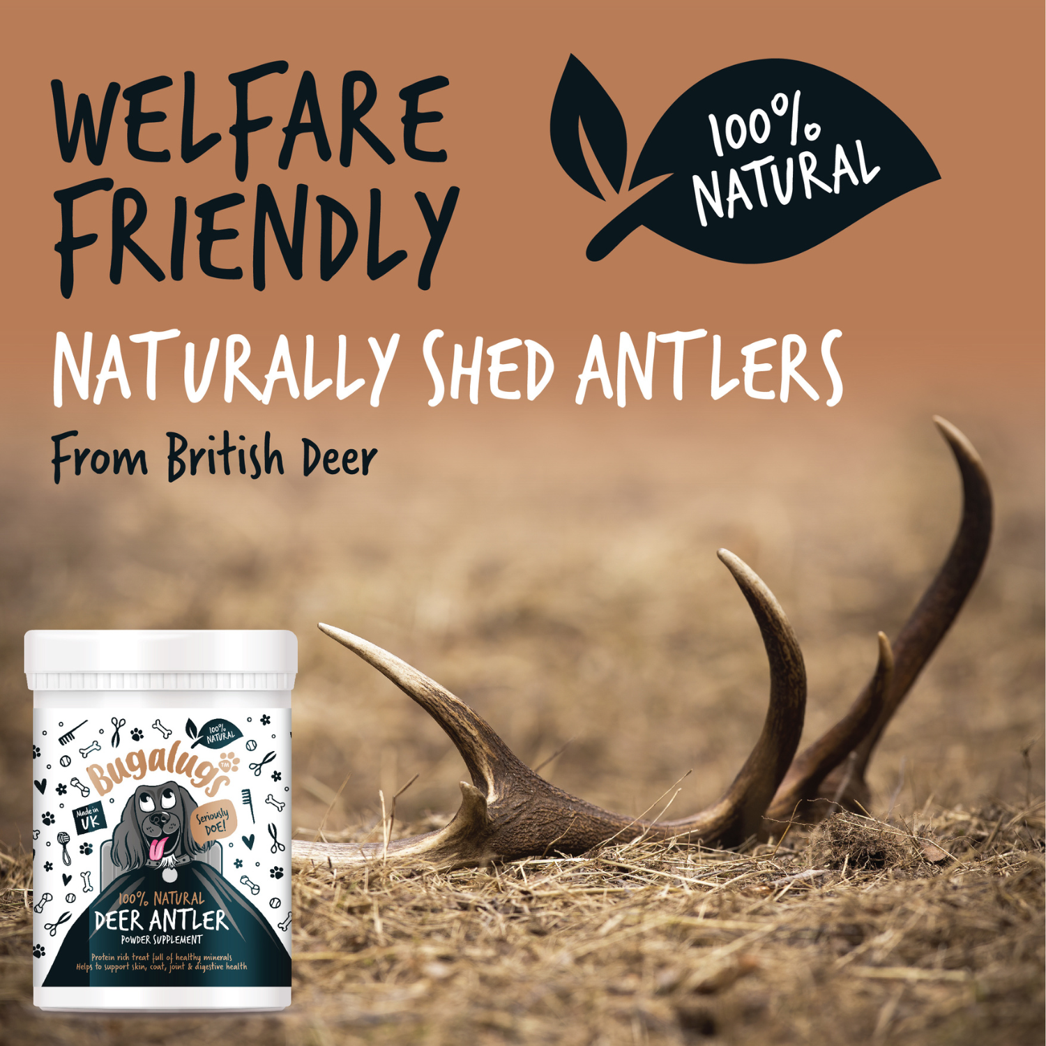 Bugalugs 100% Natural Deer Antler Powder Supplement for Dogs - 200g Pot - Welfare friendly naturally shed antlers