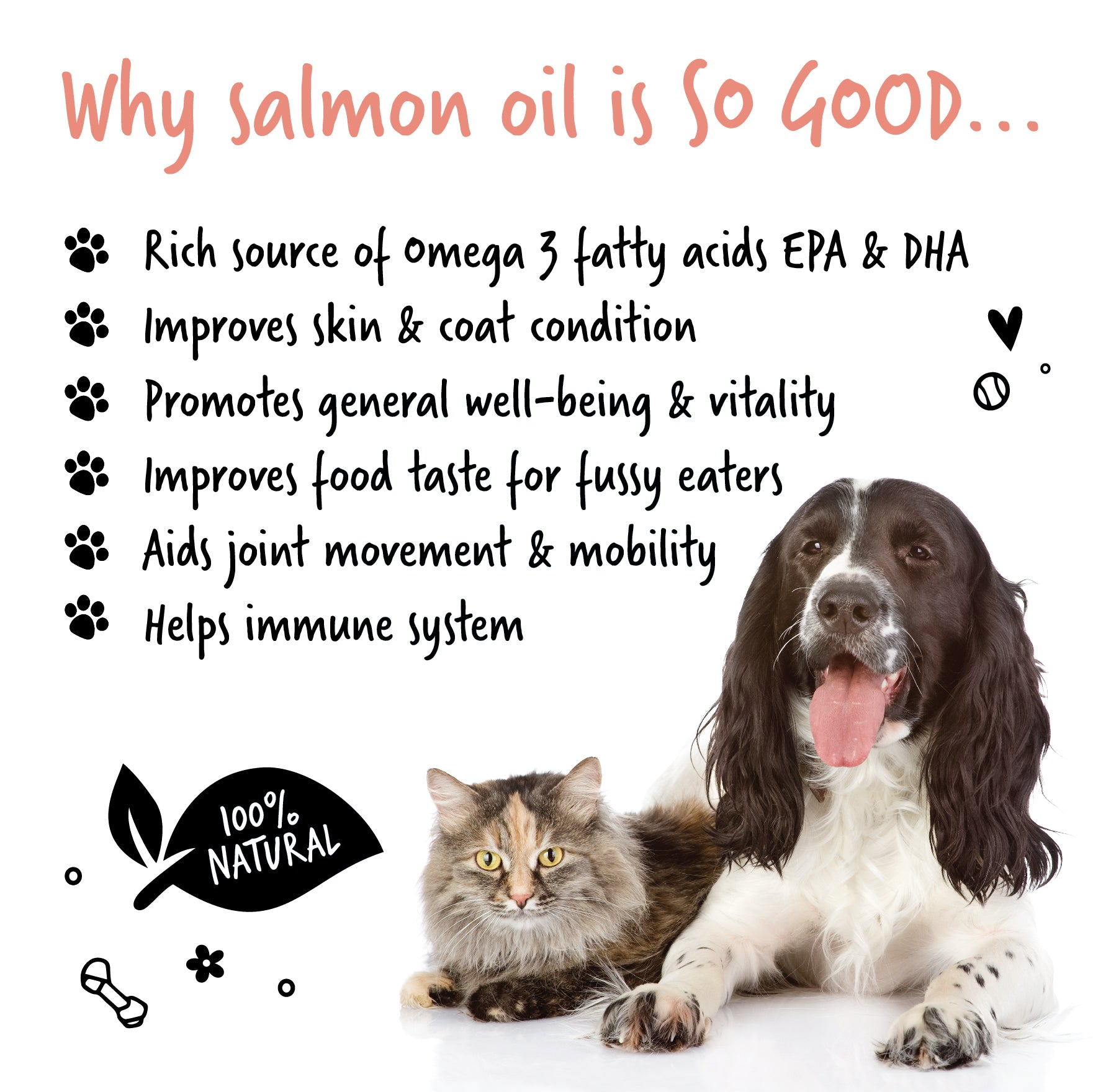 Why Bugalugs Salmon Oil Is so Good