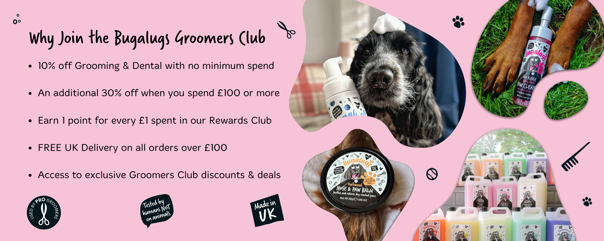 10% off Grooming & Dental with no minimum spend.

An additional 30% off when you spend £100 or more.

Earn 1 point for every £1 spent in our Rewards Club.

FREE UK Delivery on all orders over £100.

Access to exclusive Groomers Club discounts & deals.