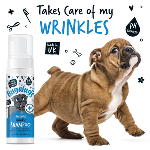 Bugalugs No Rinse Wrinkle Shampoo - Takes care of my wrinkles