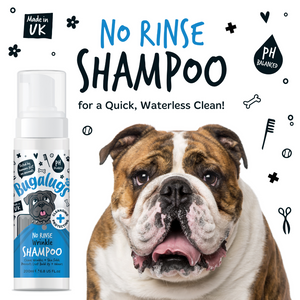 Bugalugs No Rinse Wrinkle Shampoo - No rinse shampoo for a quick, waterless clean