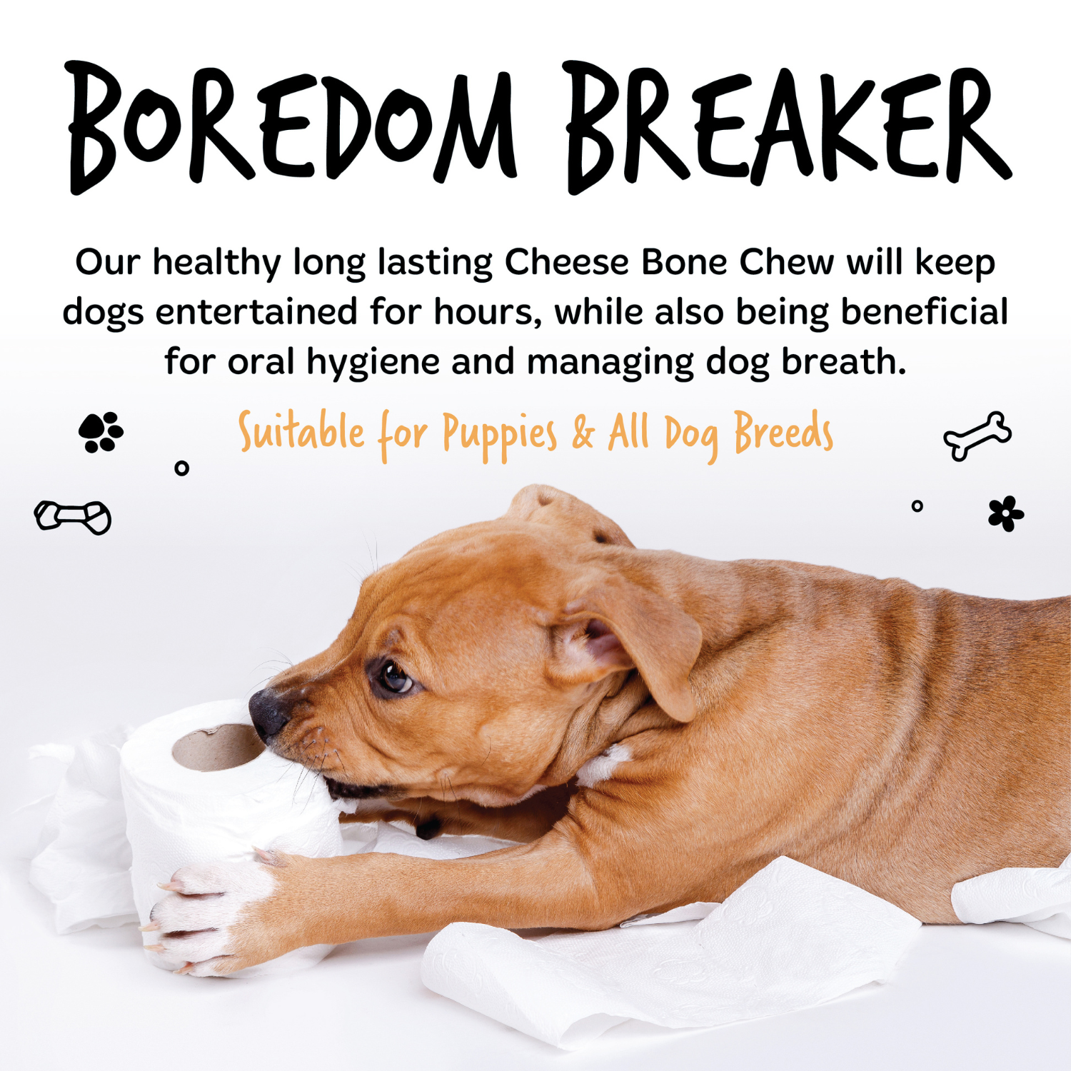 Bugalugs Handmade Himalayan Cheese Bones - Boredom breaker - Suitable for puppies and all dog breeds