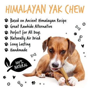 Bugalugs Handmade Himalayan Cheese Bones - Himalayan Yak Chews