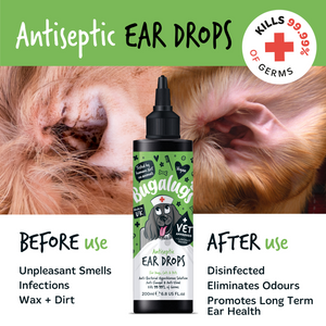 Bugalugs Antiseptic Ear Drops for Dogs, Cats and Pets - Before and after use