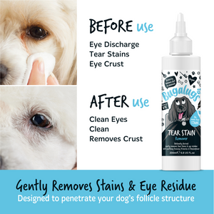 Getting rid of tear stains on dogs best sale