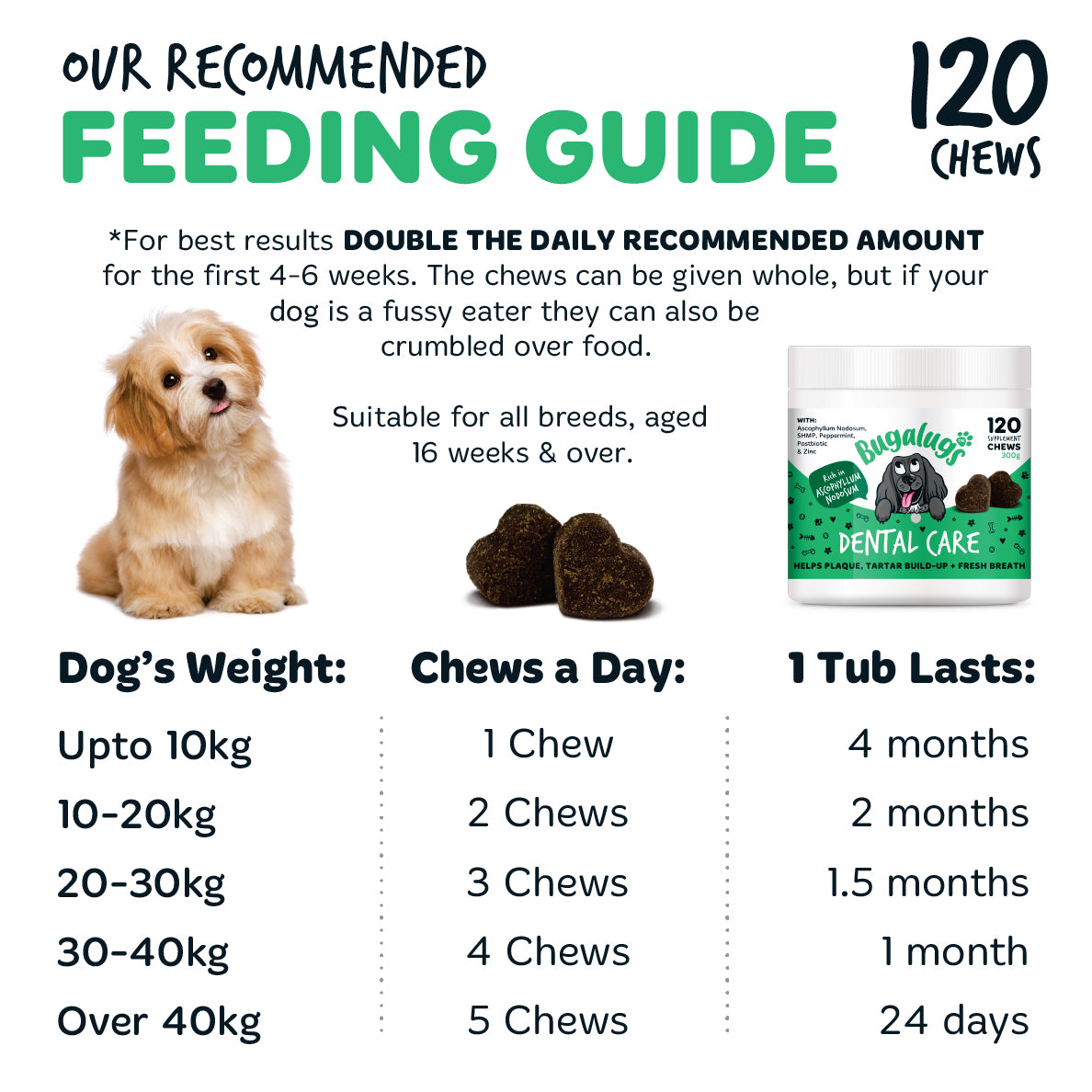 Bugalugs Dental Care chews feeding guide with daily servings by dog weight, suitable for all breeds aged 16 weeks and over. Give whole or crumble over food; double the recommended daily amount for the first 4–6 weeks.
