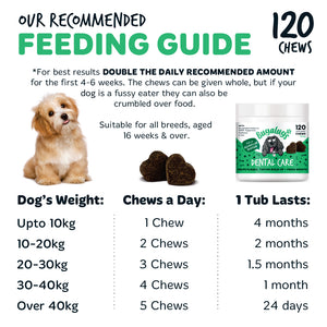 Bugalugs Dental Care chews feeding guide with daily servings by dog weight, suitable for all breeds aged 16 weeks and over. Give whole or crumble over food; double the recommended daily amount for the first 4–6 weeks.