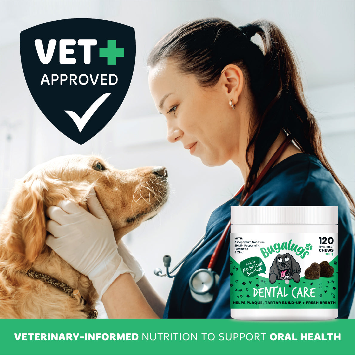 Bugalugs Dental Care chews for nutritional support of dogs’ oral health, shown alongside a veterinary professional examining a golden retriever.