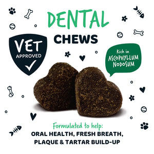 Bugalugs dental chews rich in Ascophyllum nodosum, formulated to support oral health, fresh breath and everyday plaque and tartar management in dogs.