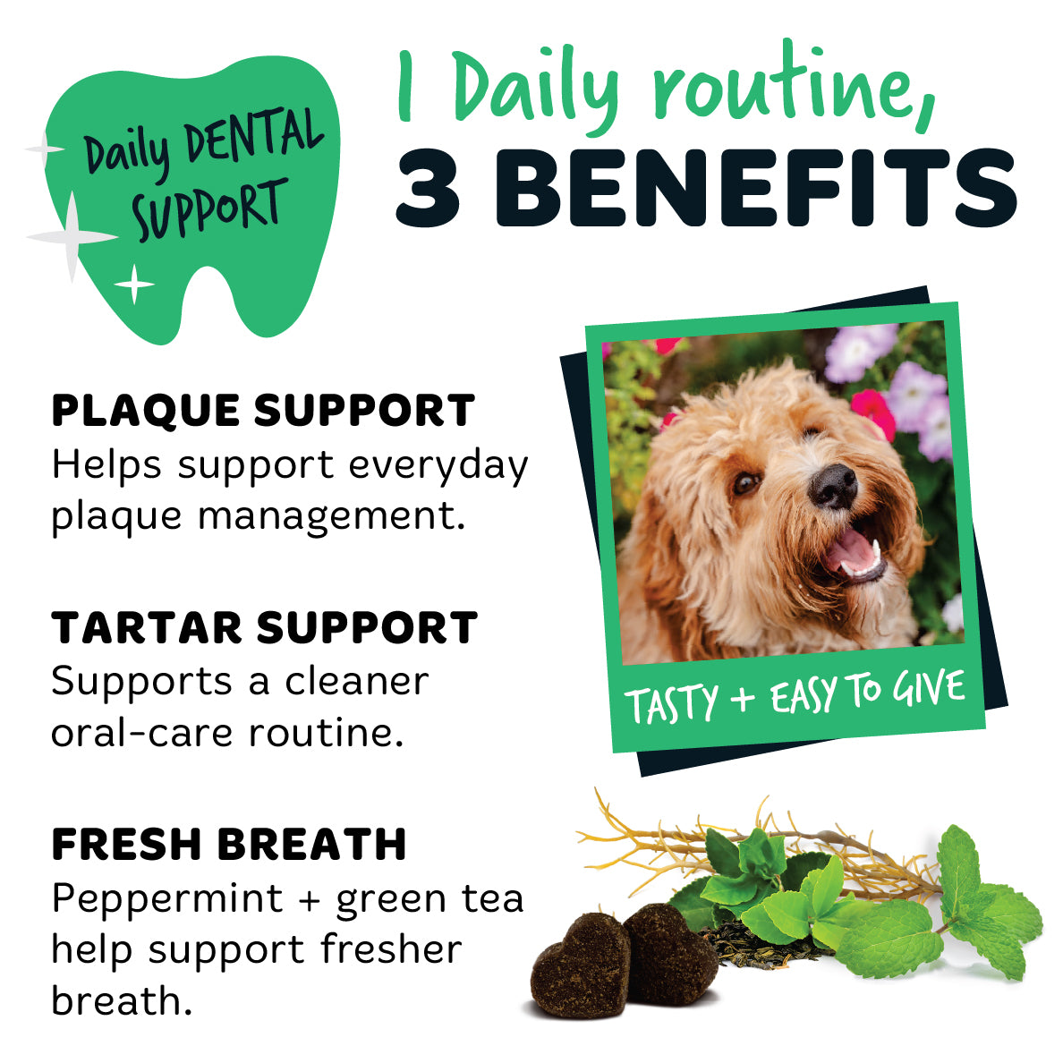 Bugalugs dental chews offering daily plaque and tartar support, with peppermint and green tea to help support fresher breath in an easy-to-give oral care routine.