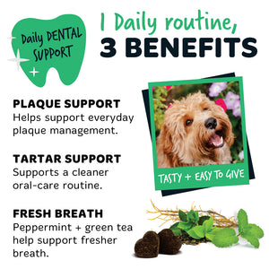 Bugalugs dental chews offering daily plaque and tartar support, with peppermint and green tea to help support fresher breath in an easy-to-give oral care routine.