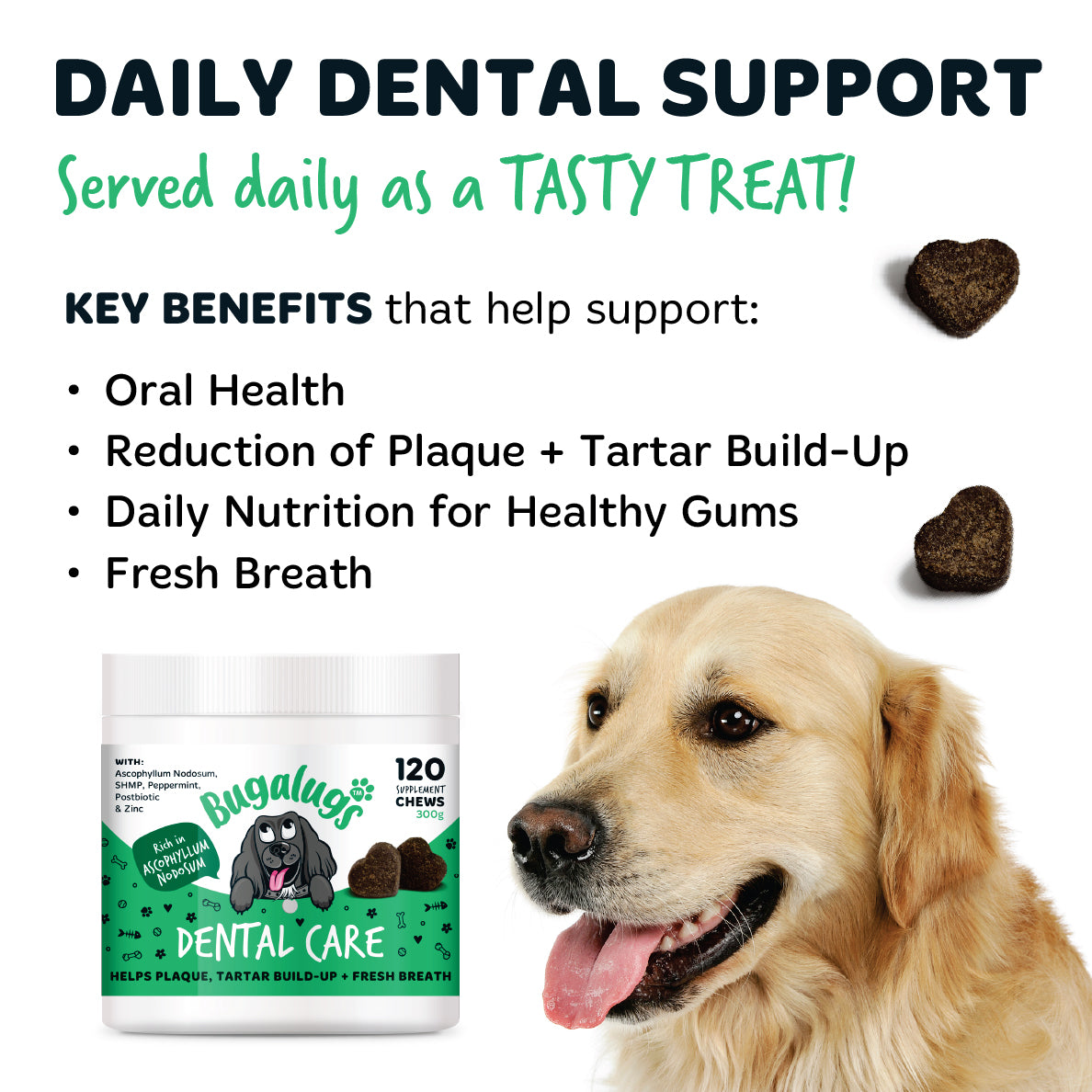 Bugalugs dental chews providing daily support for oral health, healthy gums, fresh breath and plaque and tartar management, served as a tasty treat for dogs.