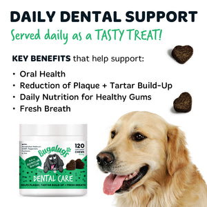 Bugalugs dental chews providing daily support for oral health, healthy gums, fresh breath and plaque and tartar management, served as a tasty treat for dogs.