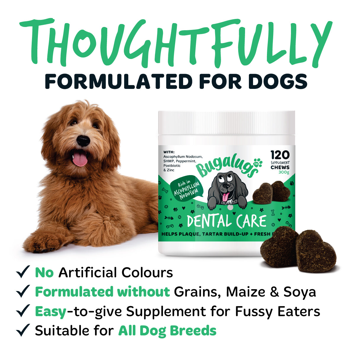 Bugalugs dental chews formulated without grains, maize, soya or artificial colours, offering an easy-to-give supplement for fussy eaters of all dog breeds.