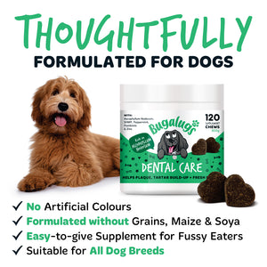 Bugalugs dental chews formulated without grains, maize, soya or artificial colours, offering an easy-to-give supplement for fussy eaters of all dog breeds.