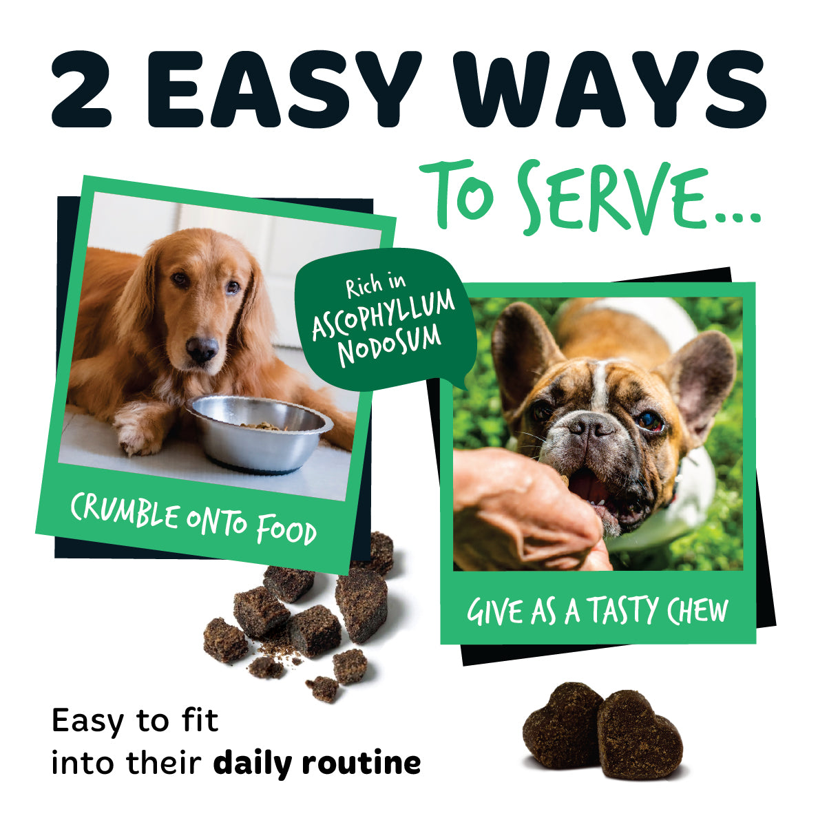 Bugalugs dental chews with Ascophyllum nodosum, easy to serve as a tasty chew or crumble over food as part of your dog’s daily oral care routine.