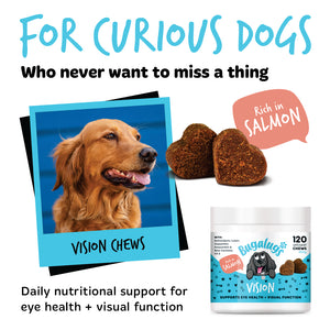 Bugalugs Vision salmon chews providing daily nutritional support for dogs’ eye health and visual function.