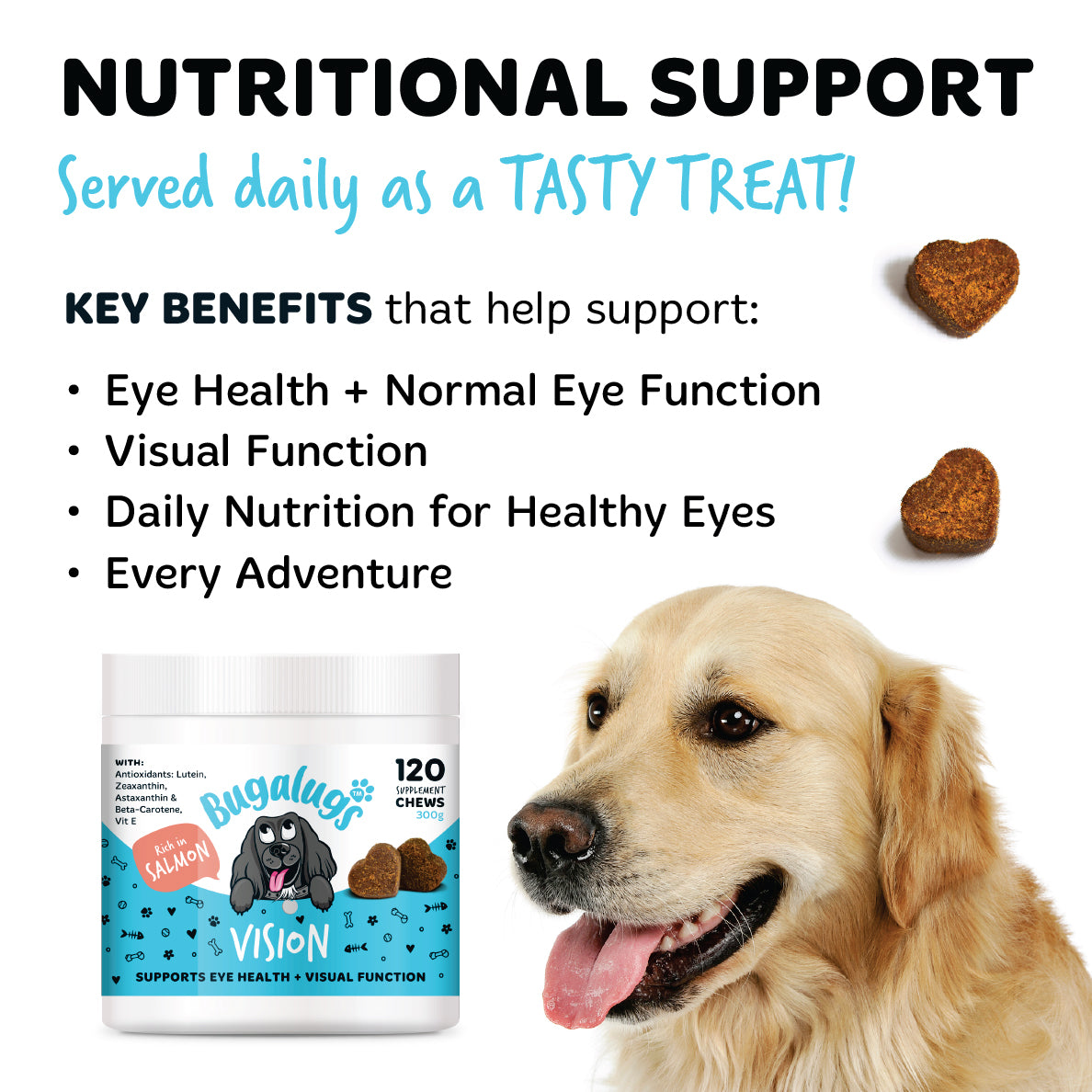Bugalugs Vision chews served daily as a tasty treat, supporting eye health, normal eye function, visual function and daily nutrition for healthy eyes, pictured with a golden retriever.
