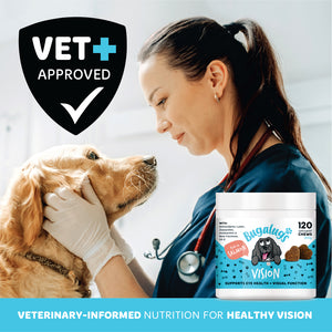 Vet-approved Bugalugs Vision chews with veterinary-informed nutrition for healthy vision, pictured alongside a vet examining a golden retriever.