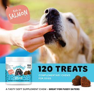 Dog being hand-fed a Bugalugs Vision salmon supplement chew, alongside a tub of 120 soft chews supporting eye health and visual function.