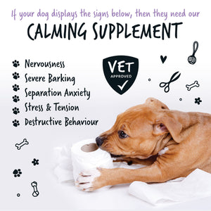 Bugalugs Natural Calming Supplement Powder for Dogs - If your dog displays the signs below, then they need our calming supplement