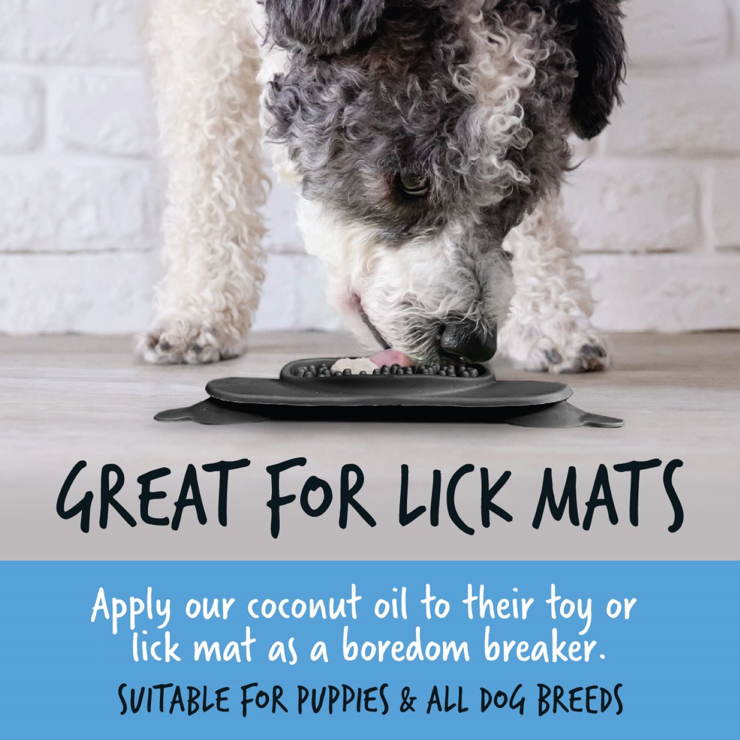 Bugalugs 100% Natural Coconut Oil - Great for lick mats