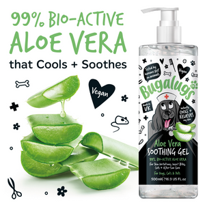 Bugalugs Aloe Vera Soothing Gel - 99% Bio-active Aloe Vera that cools and soothes