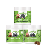 Grass Green Supplement Chews for Dogs 3-pack