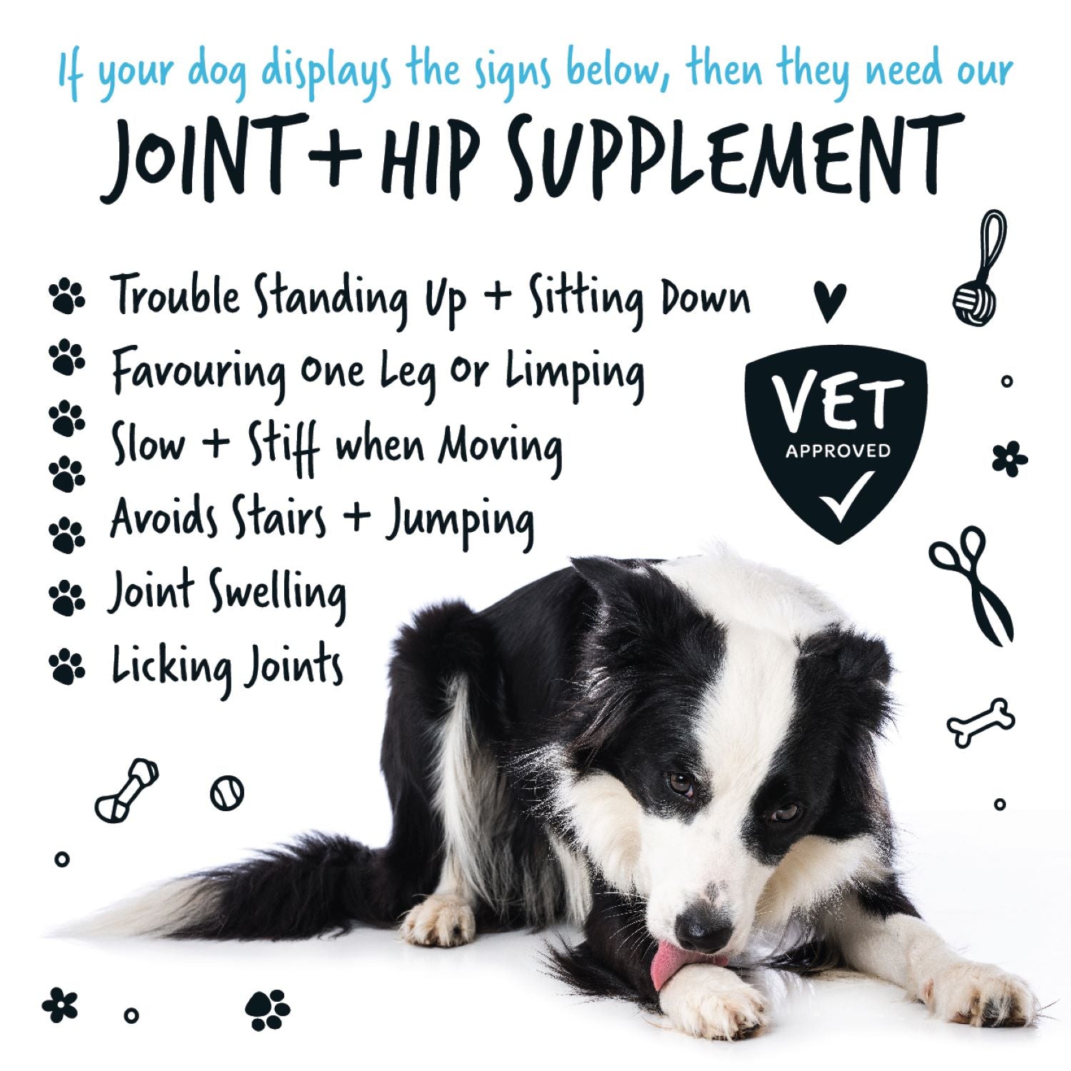 Bugalugs Natural Joint and Hip Supplement Powder - If your dog displays the signs below, then they need our joint and hip supplement