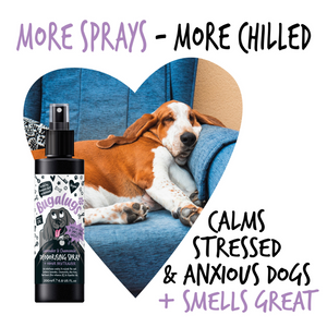 Bugalugs Lavender and Chamomile Deodorising Spray & Odour Neutraliser - More sprays, more chilled - Calms stressed and anxious dogs and smells great