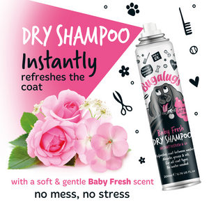 Bugalugs Baby Fresh Dry Shampoo for Dogs - Dry shampoo instantly refreshes the coat