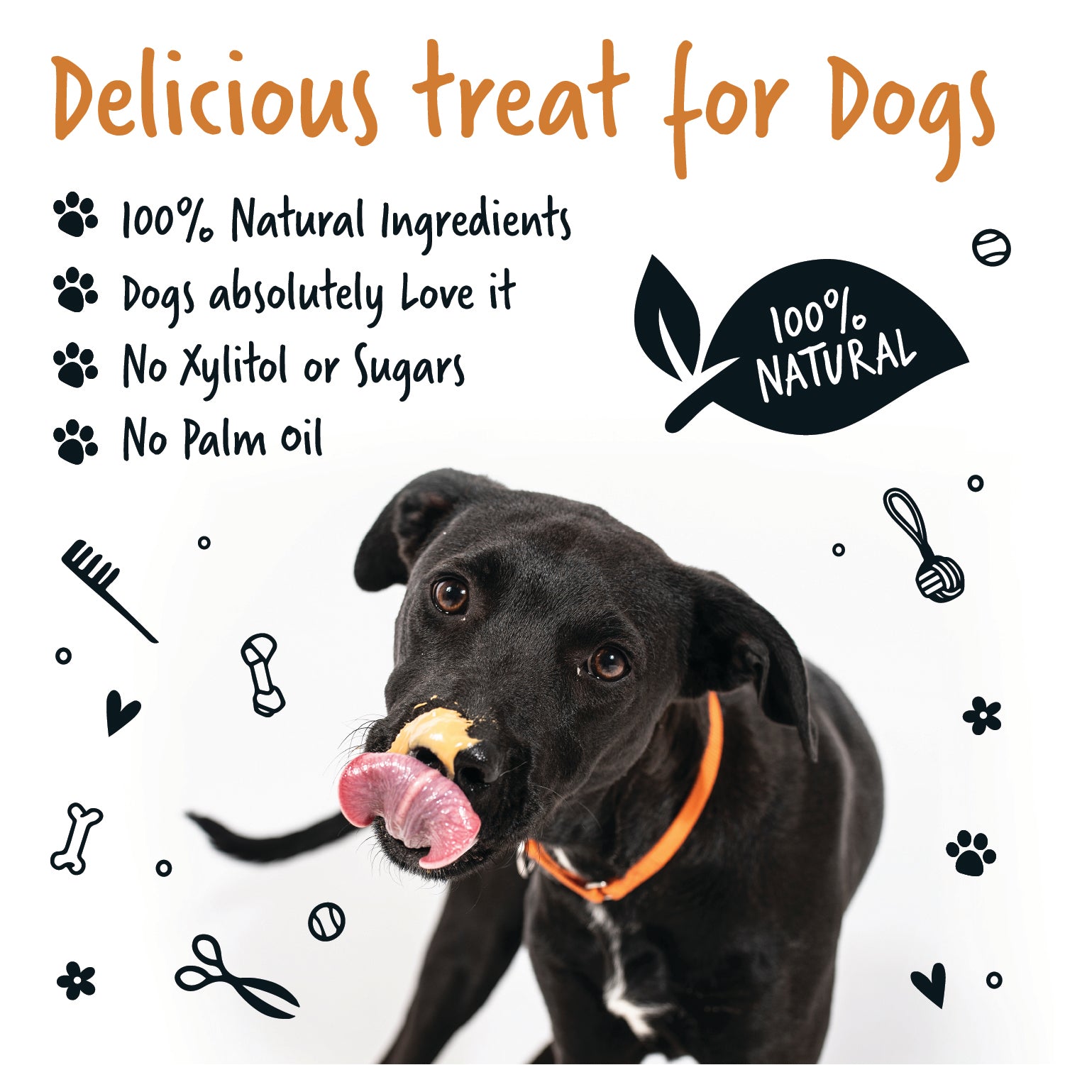 Harmful ingredient in peanut butter for dogs best sale