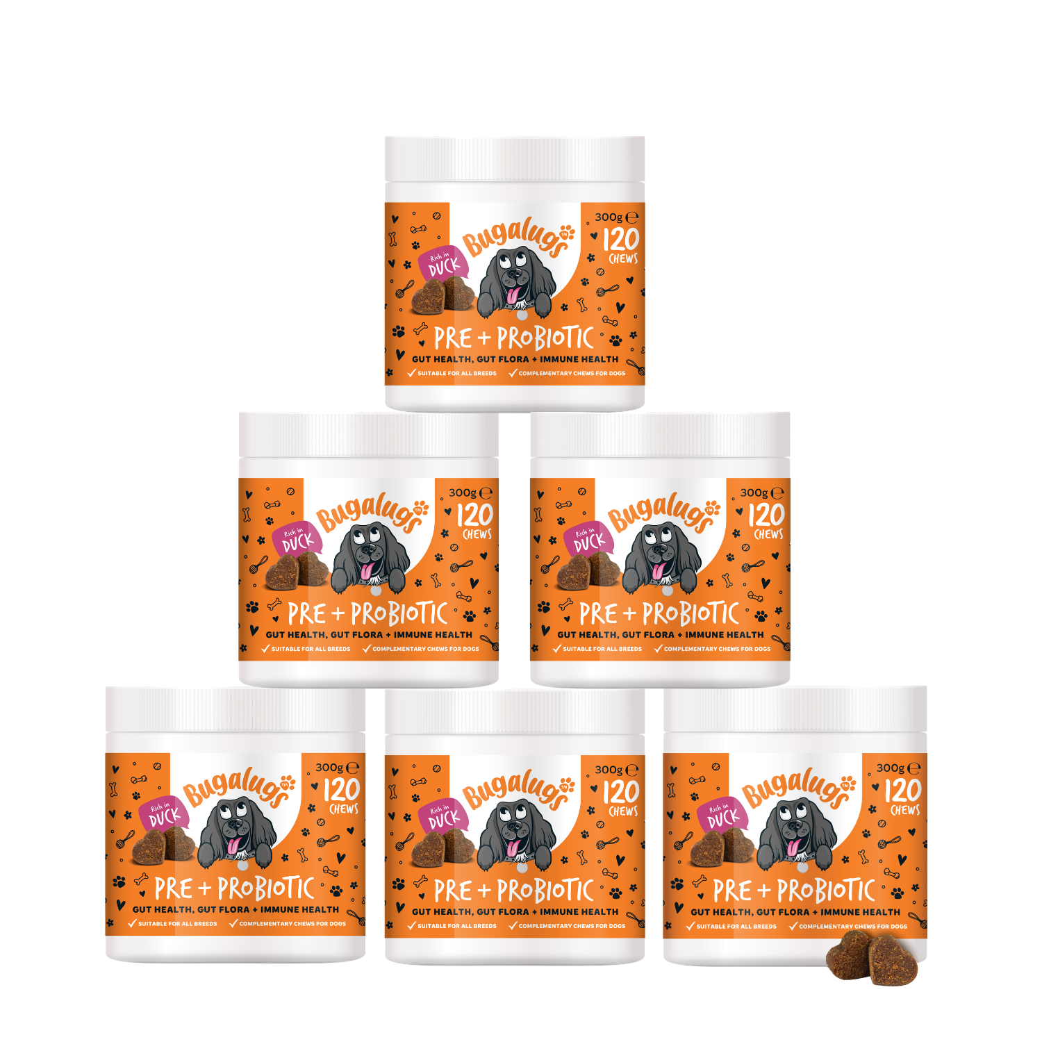Pre & Probiotic Supplement Chews for Dogs 6-Pack