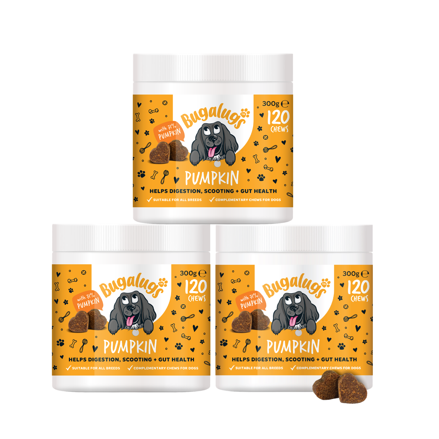 Pumpkin Supplement Chews for Dogs 3-Pack