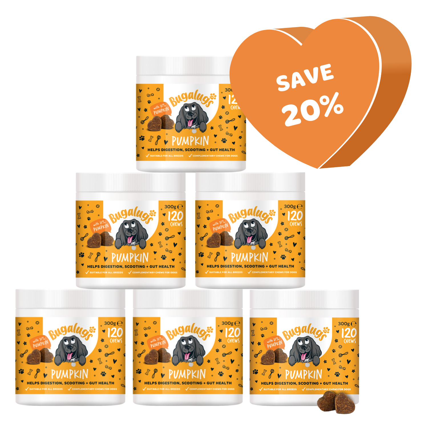 Pumpkin Supplement Chews for Dogs 6-Pack