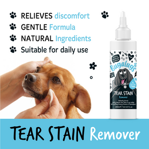 Tear Stain Remover Solution for Dogs