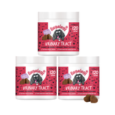 Urinary Tract Supplement Chews for Dogs 3-Pack
