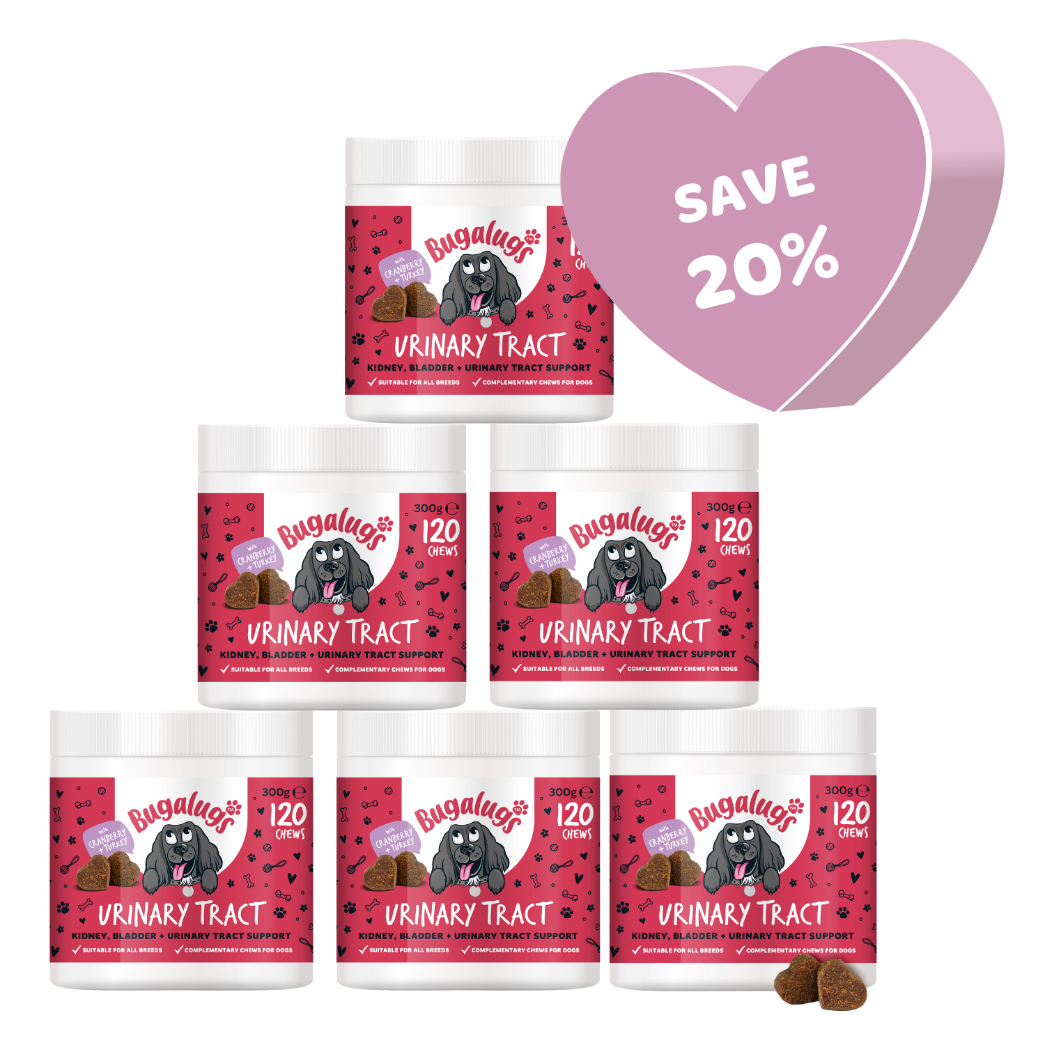 Urinary Tract Supplement Chews for Dogs 6-Pack