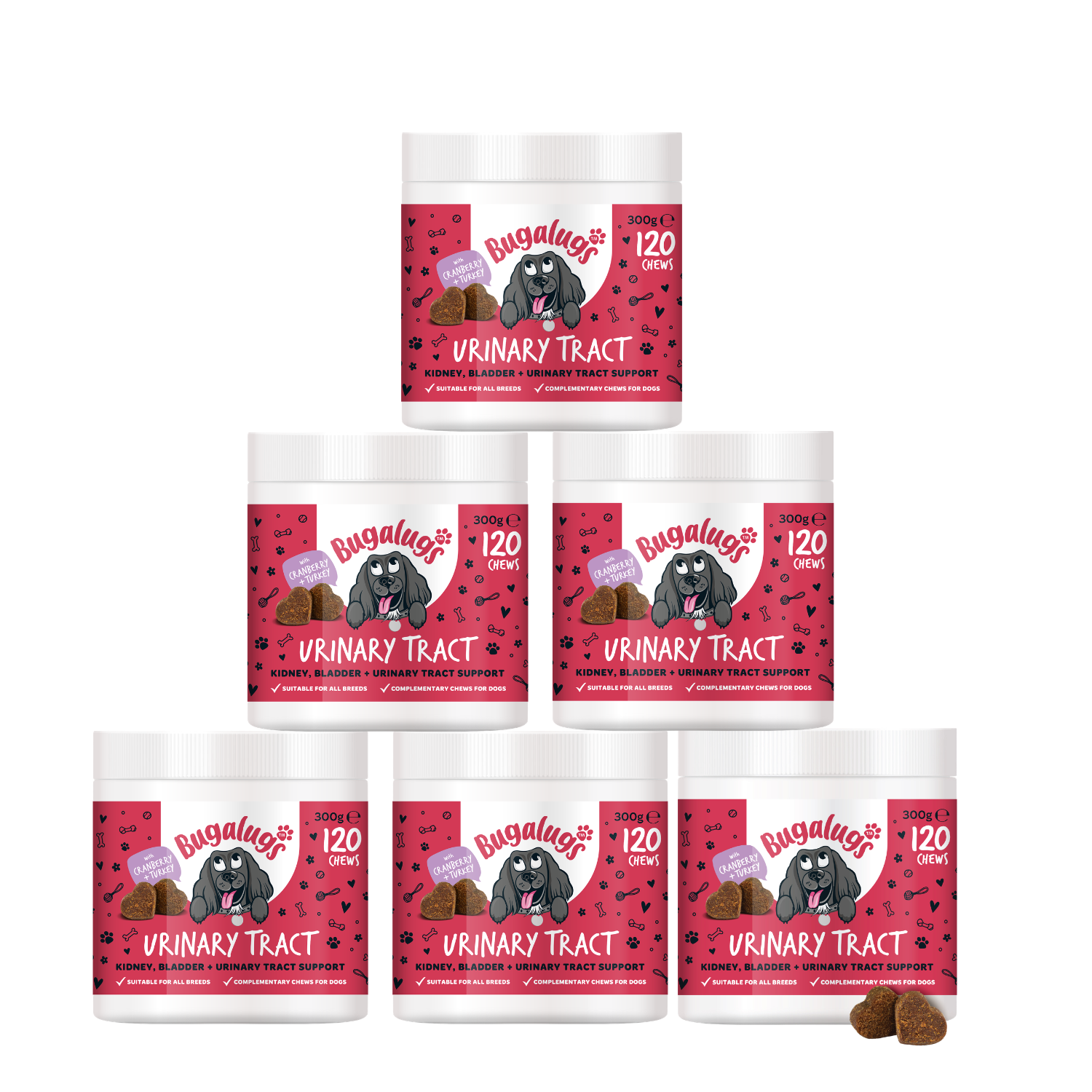 Urinary Tract Supplement Chews for Dogs 6-Pack