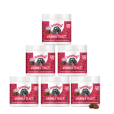 Urinary Tract Supplement Chews for Dogs 6-Pack