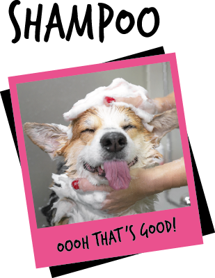 Bugalugs Dog Shampoo