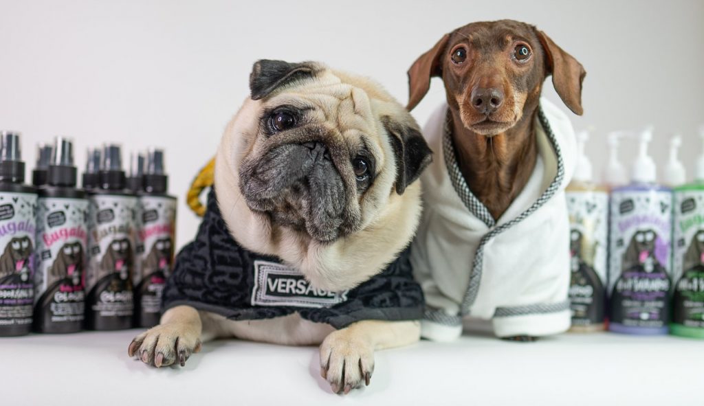@puggsmalls and crew review of our vegan dog grooming products