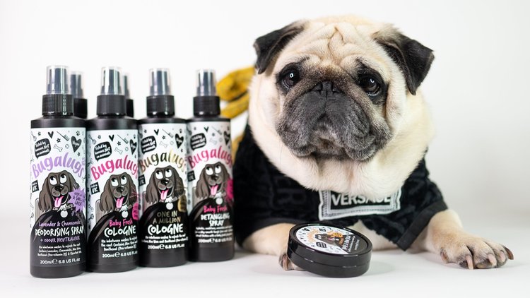 Puggsmalls with our range of Bugalugs vegan dog grooming products